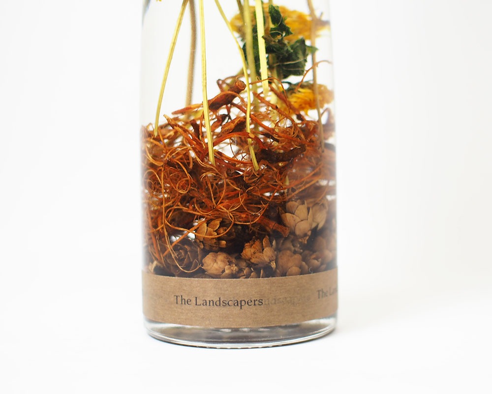 The Landscapers | PLANTAHOLIC -No.3- �ץ�󥿥ۥ�å�