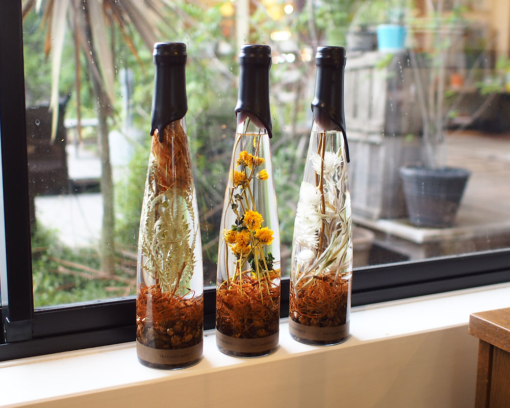 The Landscapers | PLANTAHOLIC -No.3- �ץ�󥿥ۥ�å�