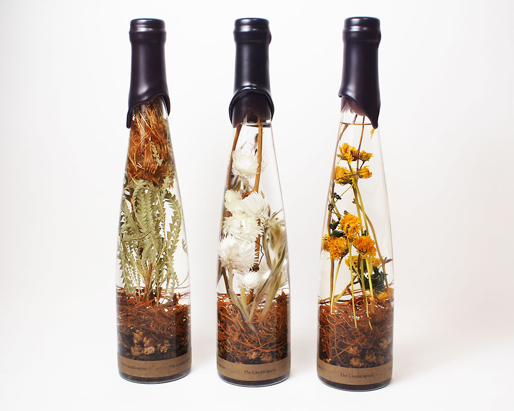 The Landscapers | PLANTAHOLIC -No.3- �ץ�󥿥ۥ�å�