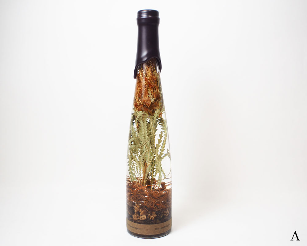 The Landscapers | PLANTAHOLIC -No.3- �ץ�󥿥ۥ�å�