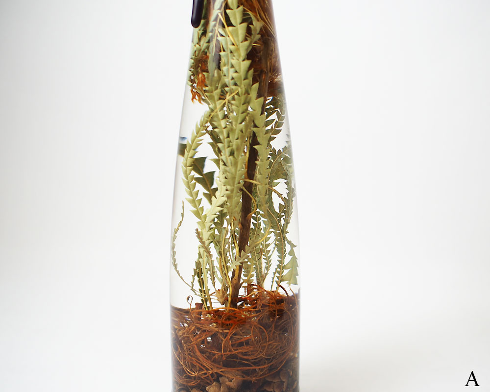 The Landscapers | PLANTAHOLIC -No.3- �ץ�󥿥ۥ�å�