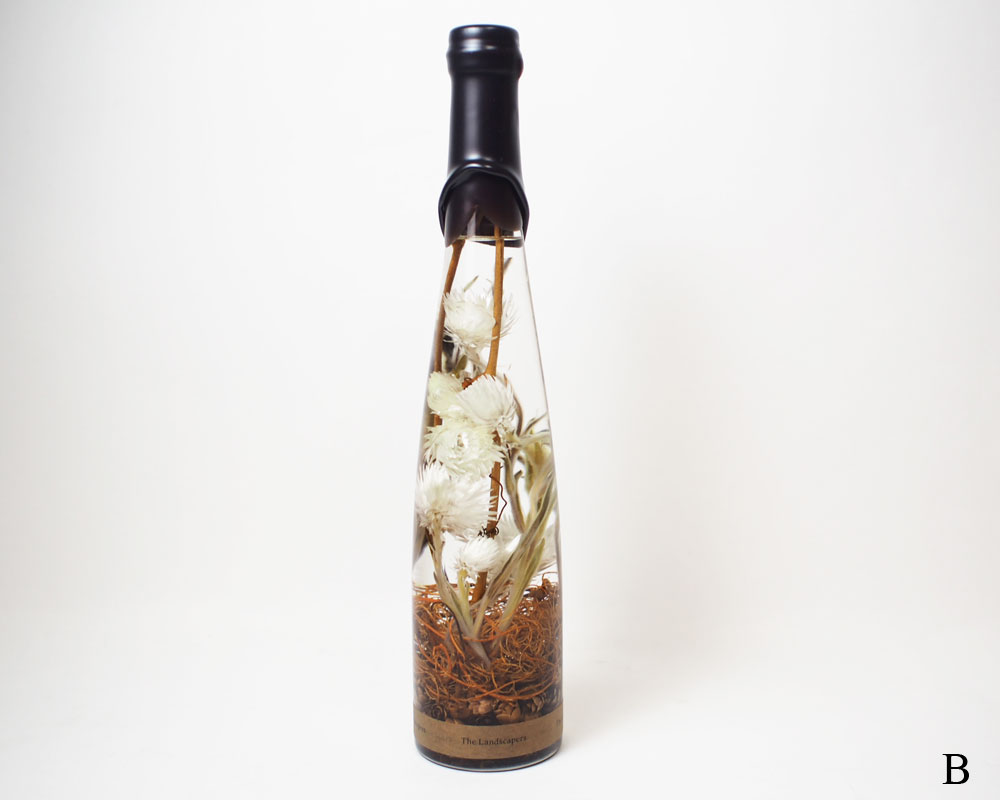 The Landscapers | PLANTAHOLIC -No.3- �ץ�󥿥ۥ�å�