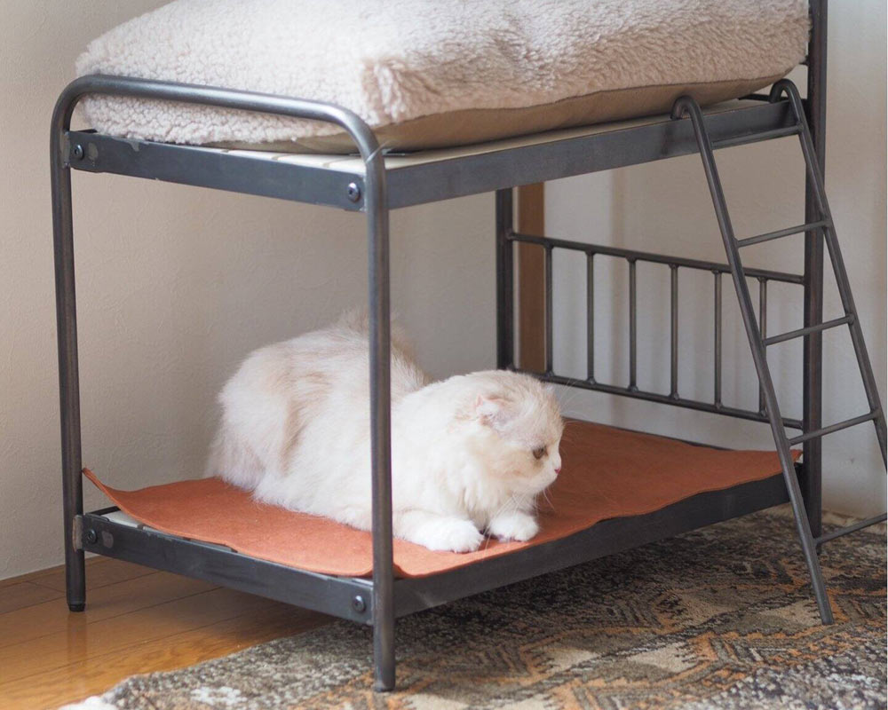 journal standard Furniture | SENS BUNK BED for CAT ���󥯥Х󥯥٥åɥե�������å�