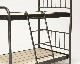 journal standard Furniture | SENS BUNK BED for CAT ���󥯥Х󥯥٥åɥե�������å�