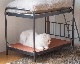 journal standard Furniture | SENS BUNK BED for CAT ���󥯥Х󥯥٥åɥե�������å�
