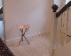 Normark | Hunting Chair ϥƥ󥰥/ġ