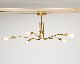 ACME Furniture | Solid Brass Lamp Long 5ARM åɥ֥饹 5
