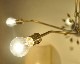 ACME Furniture | Solid Brass Lamp Long 5ARM åɥ֥饹 5