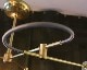 ACME Furniture | Solid Brass Lamp Tri Loop Lamp ����åɥ֥饹���� �ȥ�롼�ץ���