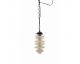 ACME Furniture | ACDL-521 Pendant Lamp ե˥㡼 ACDL-521 ڥȥ