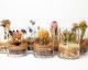 The Landscapers | DRY CYLINDER 20 [H] ɥ饤20