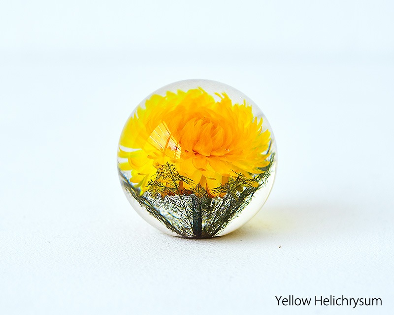 Hafod Grange  | Paperweights Small  ڡѡ ⡼