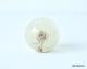 Hafod Grange  | Paperweights Small  ڡѡ ⡼