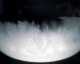 100% | Tempo Drop Dawn (���ȡ��॰�饹) �ƥ�ݥɥ��åץɡ���