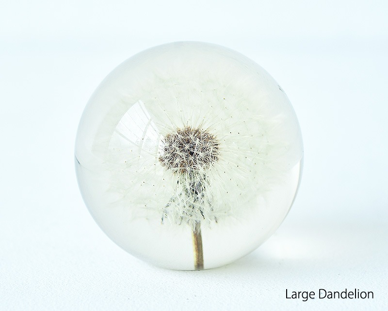 Hafod Grange  | Paperweights Large  �ڡ��ѡ��������� �顼��