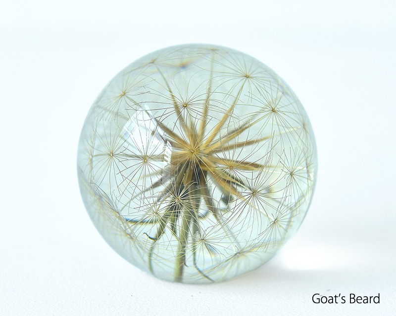 Hafod Grange  | Paperweights Large  �ڡ��ѡ��������� �顼��