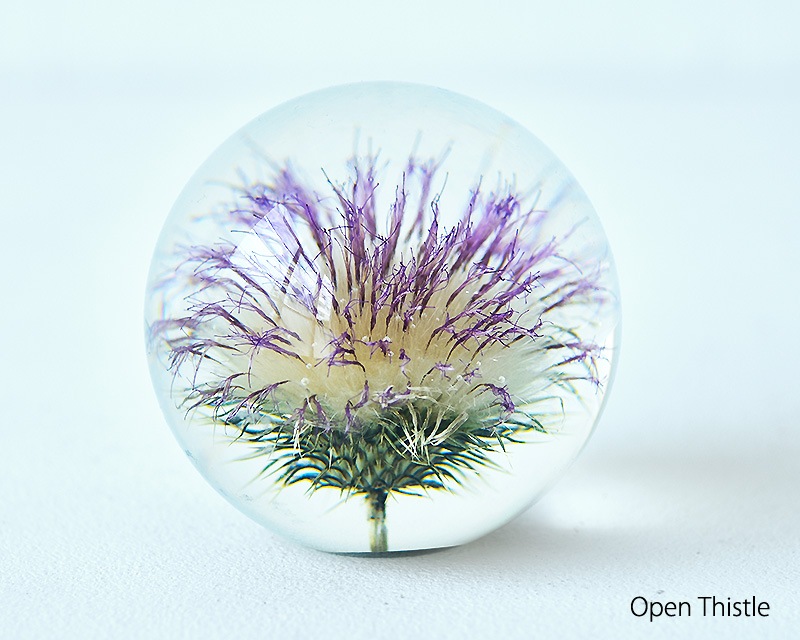 Hafod Grange  | Paperweights Large  �ڡ��ѡ��������� �顼��