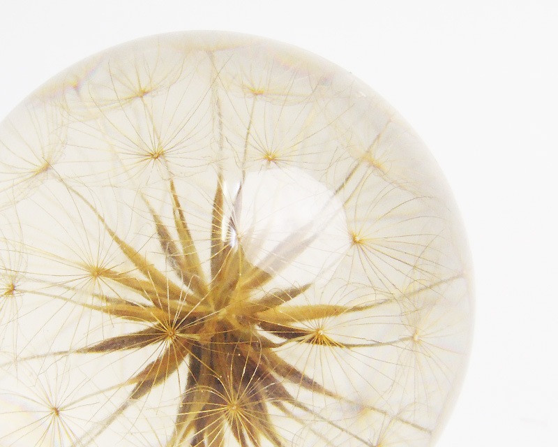 Hafod Grange  | Paperweights Large  �ڡ��ѡ��������� �顼��