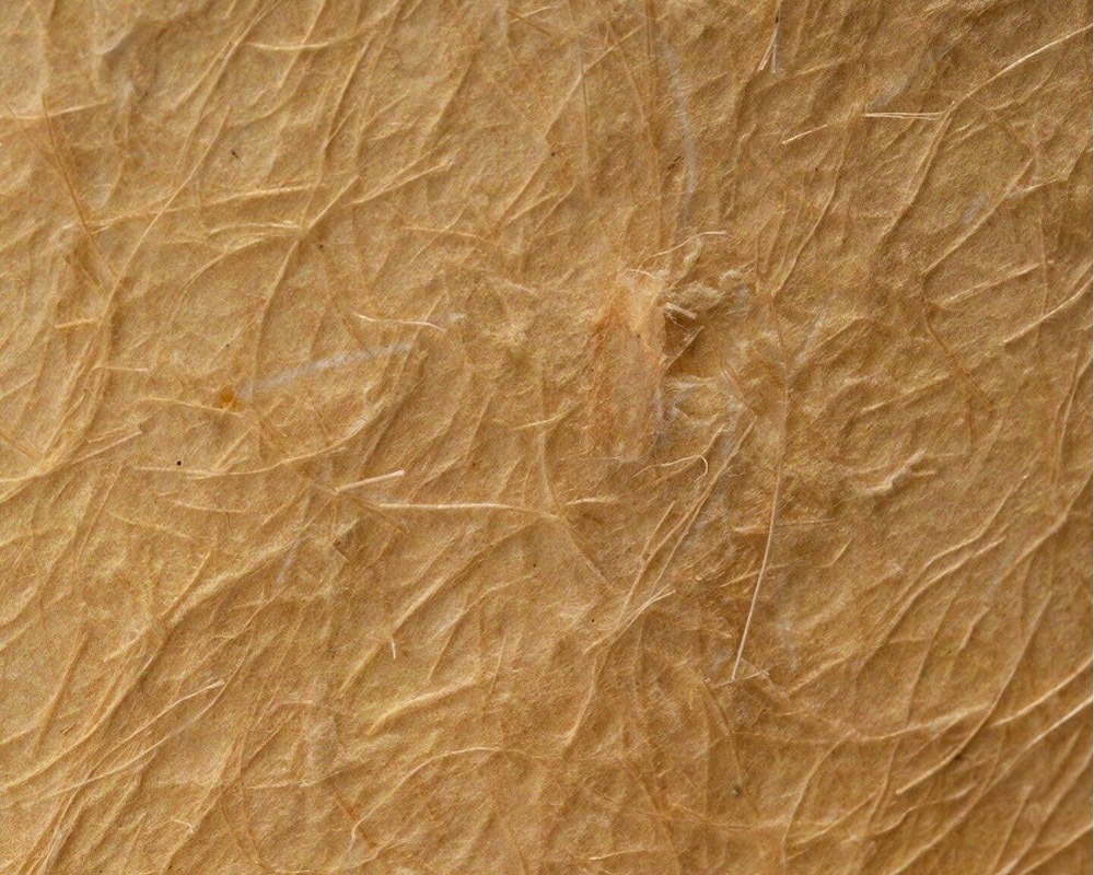 journal standard Furniture | MARTA PENDANT LAMP ޥ륿 ڥȥ