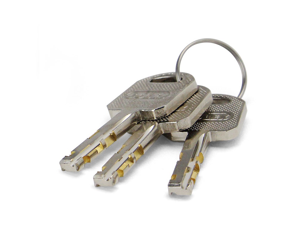 SOLEX | Heavy Duty Padlock إǥ塼ƥѥɥå