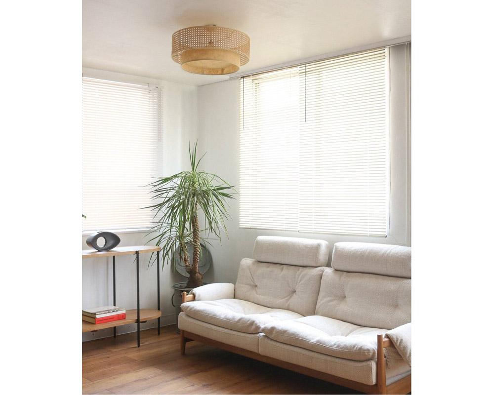 journal standard Furniture | DAFNE CEILING LAMP ���ե� ������󥰥���