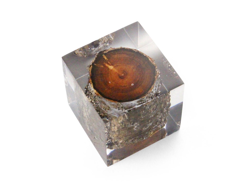 DETAIL | Resin With Wood Inside 쥸󥦥åɥ󥵥