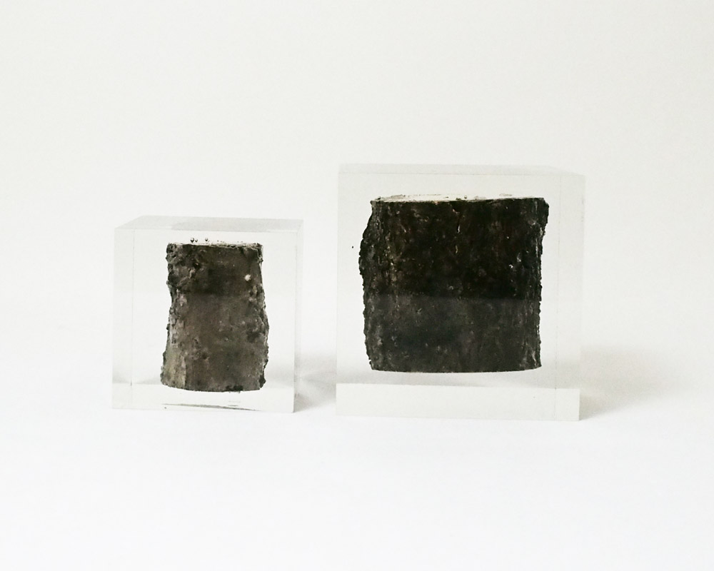 DETAIL | Resin With Wood Inside 쥸󥦥åɥ󥵥