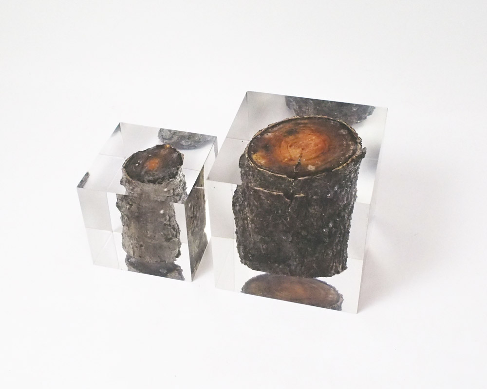 DETAIL | Resin With Wood Inside 쥸󥦥åɥ󥵥