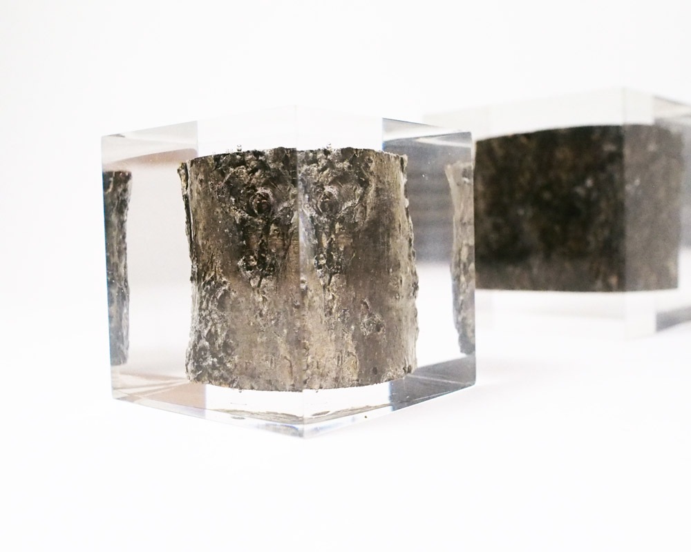 DETAIL | Resin With Wood Inside 쥸󥦥åɥ󥵥