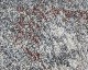 ACME Furniture | BELAIR RUG �٥륨�����饰
