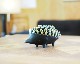 Walter Bosse | hedgehog Ashtray ϥͥ߳/֥