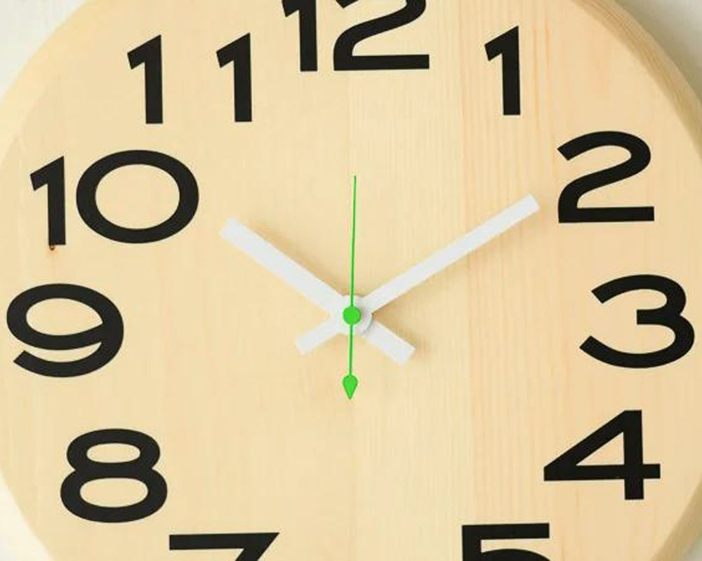 Landscape Products | Cheese Clock Sakhalin fir å ȥɥޥ