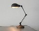 ACME Furniture | BRIGHTON DESK LAMP ֥饤ȥǥ