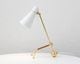 INNOLUX | Tapio Table Lamp [2color] ԥ ơ֥