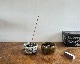 INSTRUMENTAL | INCENSE STAND 󥻥󥹥/Ω