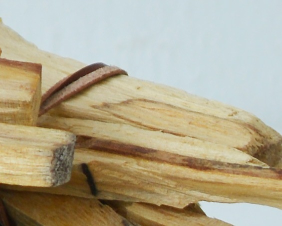 WHOLE TREE | PALO SANTO ѥȹ