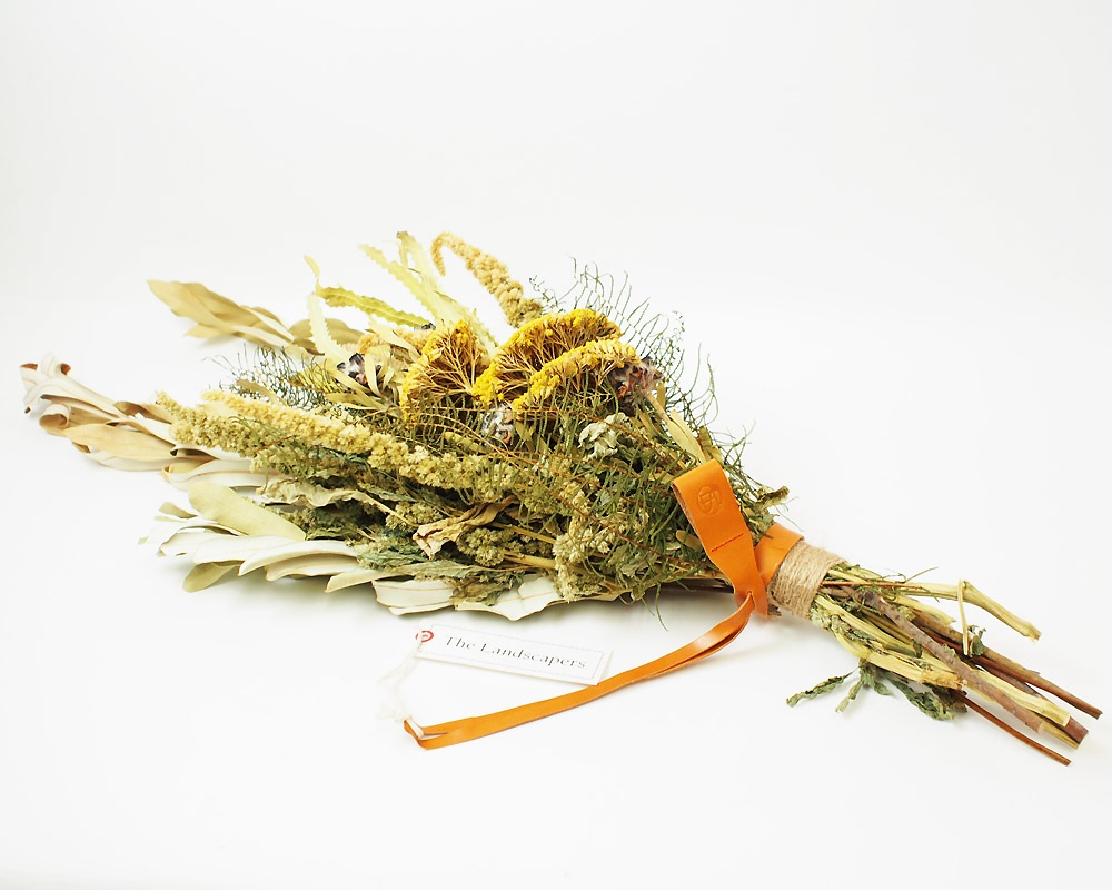 The Landscapers | TLS DRIED FLOWERS [D] �ɥ饤�ե�
