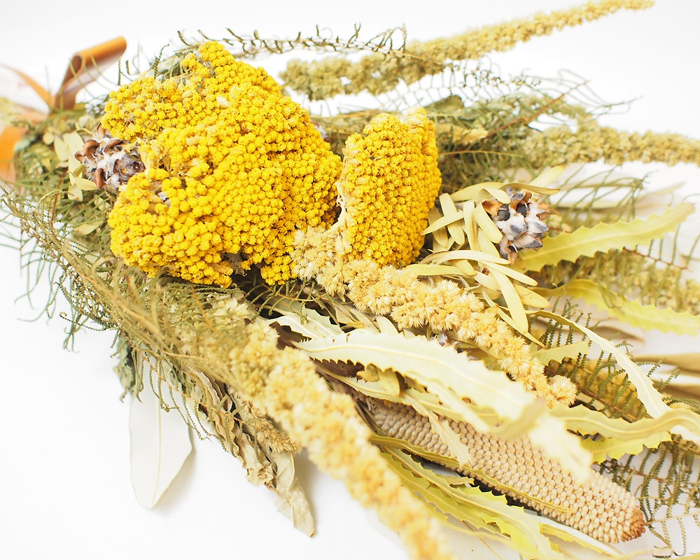 The Landscapers | TLS DRIED FLOWERS [D] �ɥ饤�ե�