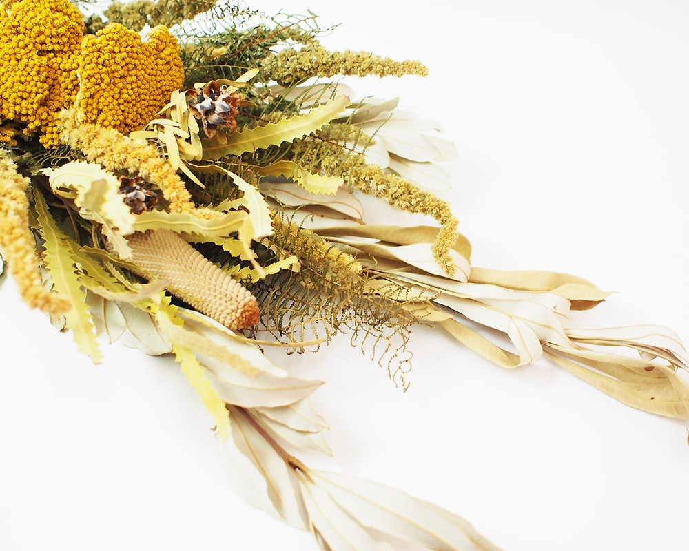 The Landscapers | TLS DRIED FLOWERS [D] �ɥ饤�ե�