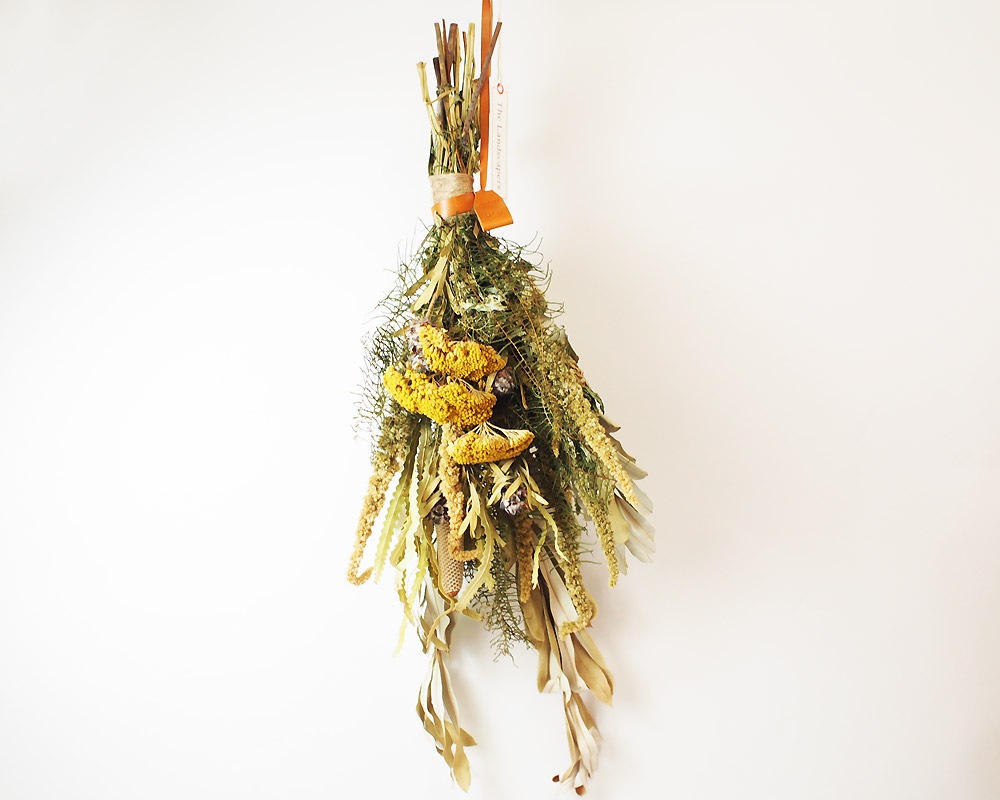 The Landscapers | TLS DRIED FLOWERS [D] �ɥ饤�ե�