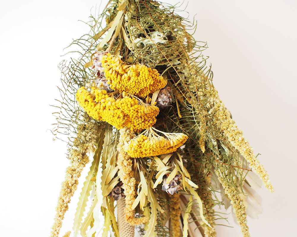 The Landscapers | TLS DRIED FLOWERS [D] �ɥ饤�ե�