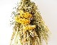 The Landscapers | TLS DRIED FLOWERS [D] �ɥ饤�ե�