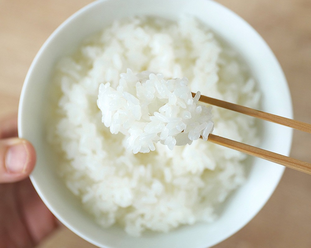 BALMUDA | The Gohan Хߥ塼 ϥ