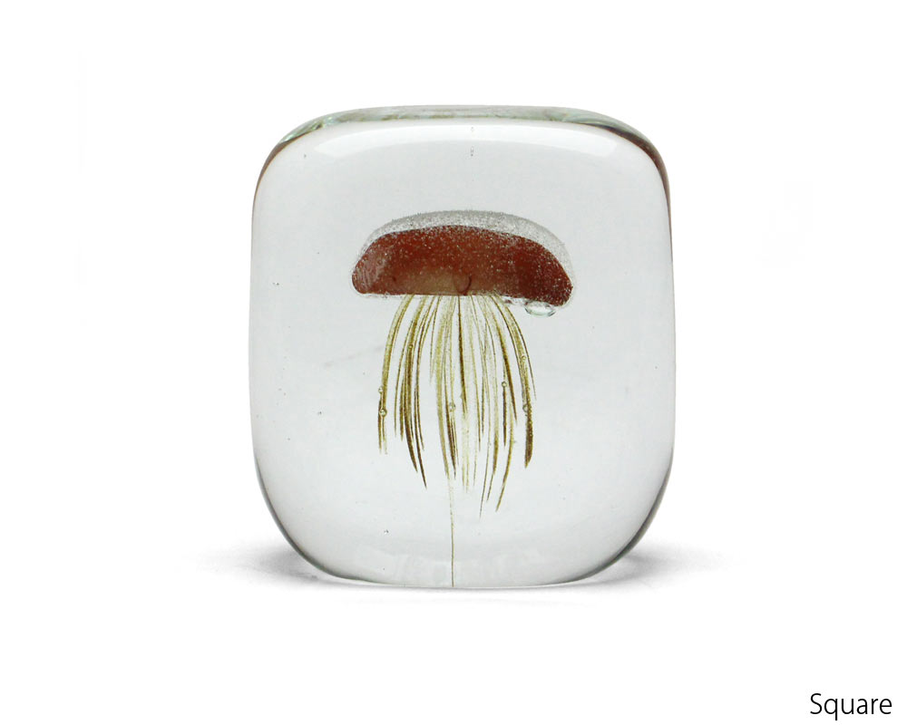 DETAIL | Jellyfish Paper Weight ꡼եåڡѡ