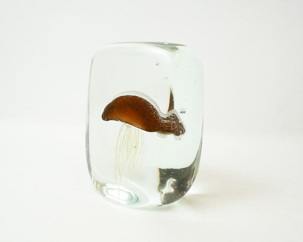 DETAIL | Jellyfish Paper Weight ꡼եåڡѡ