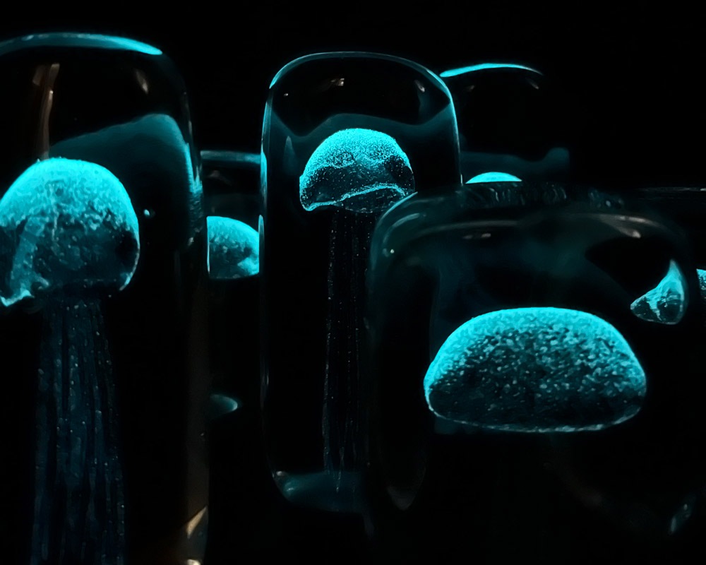 DETAIL | Jellyfish Paper Weight ꡼եåڡѡ