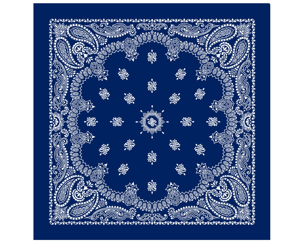 DETAIL | Paisley Bandana Rug Navy [3size] �ڥ����꡼�Х���ʥ饰 �ͥ��ӡ�
