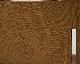 journal standard Furniture | COLTON ARM CHAIR Leather ����ȥ󥢡�������� �쥶��