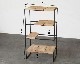 LIFE FURNITURE | MA DISPLAY SHELF MA�ǥ����ץ쥤�������