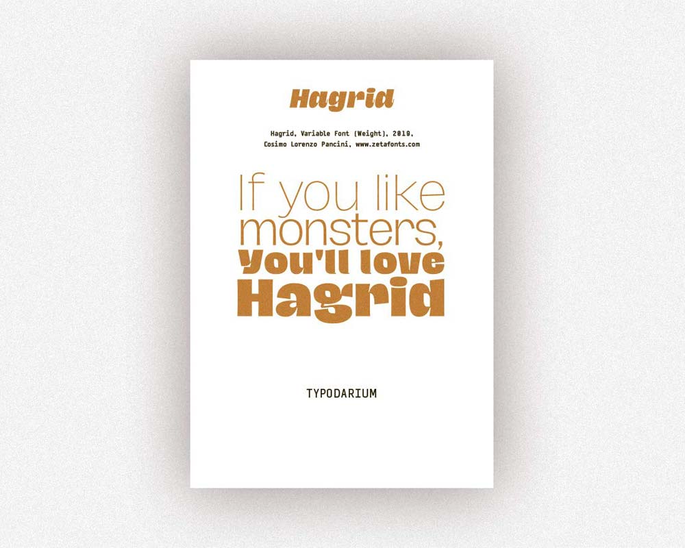 verlag hermann schmidit | TYPODARIUM 2021 ݥꥦ/